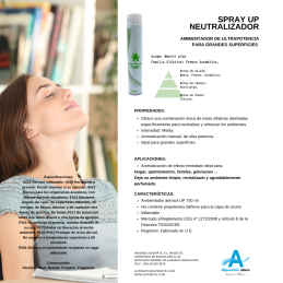 Ficha Técnica Spray ambientador Up 500ml Menthol Plus.